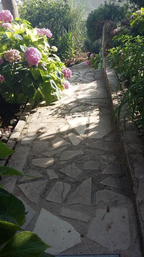 Apartment D&M1 ماكارسكا المظهر الخارجي الصورة