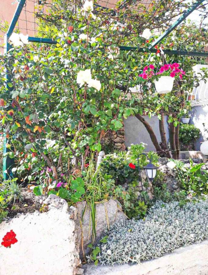 Apartment D&M1 ماكارسكا المظهر الخارجي الصورة